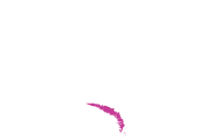 Gosia Weiss white logo 200