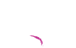 Gosia Weiss Logo White